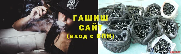индика Козельск