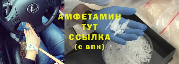 индика Козельск