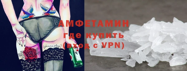 индика Козельск
