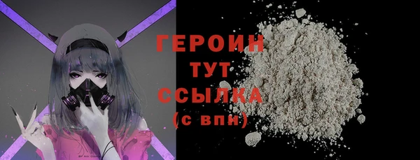 индика Козельск