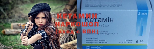 индика Козельск