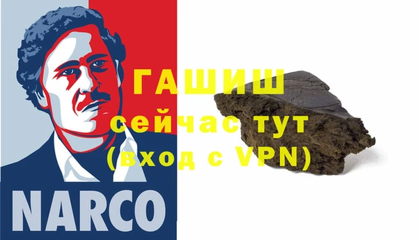 индика Козельск