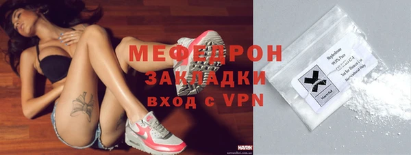индика Козельск