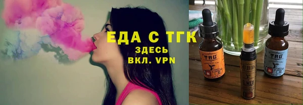 индика Козельск