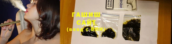 индика Козельск