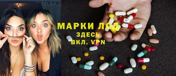 индика Козельск