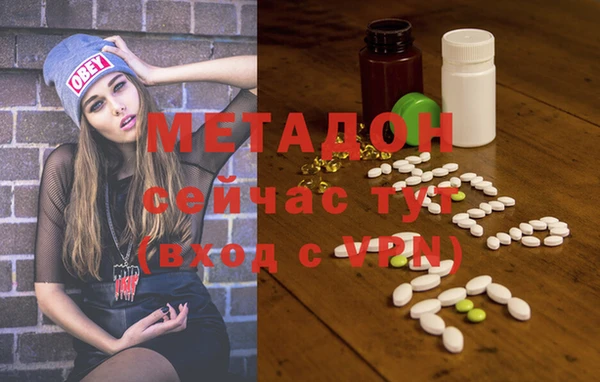 индика Козельск