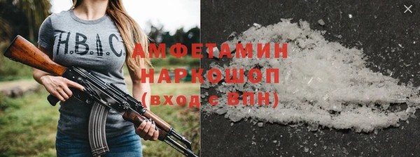 индика Козельск