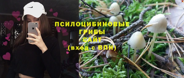 spice Кодинск