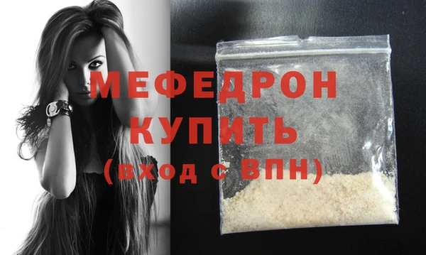 индика Козельск
