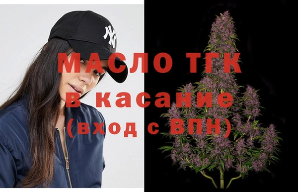 индика Козельск