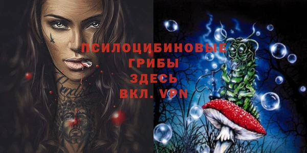 индика Козельск