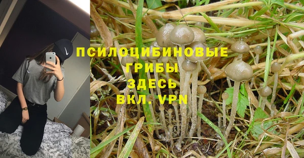 spice Кодинск