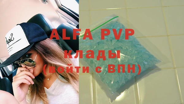 индика Козельск